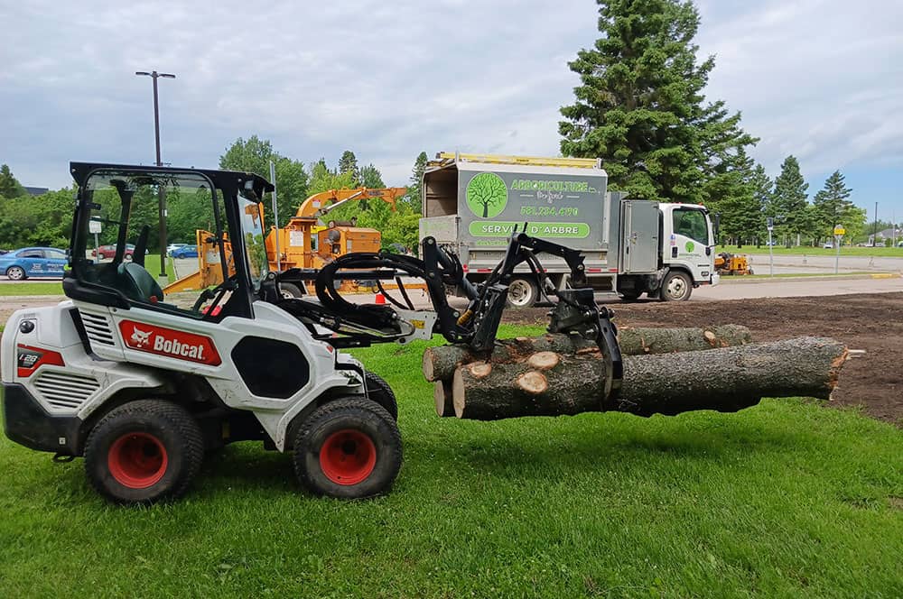 Émondeur pour élagage et abattage d’arbres Alma