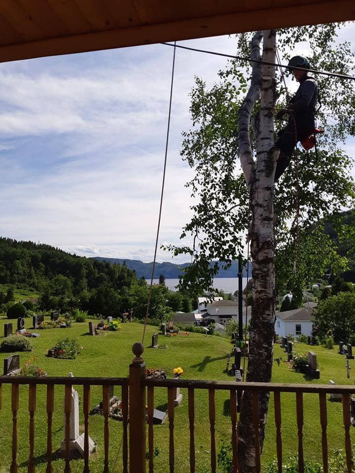 Élagage à Jonquière